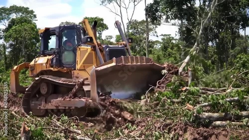 Bulldozer clearing brush in an overgrown forest landscape.