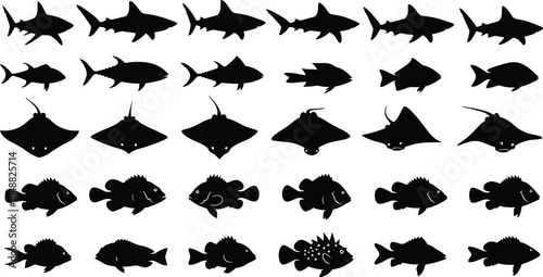 Marine animal silhouette set, sharks rays bony fish grid, black icons, ocean species design, educational concept