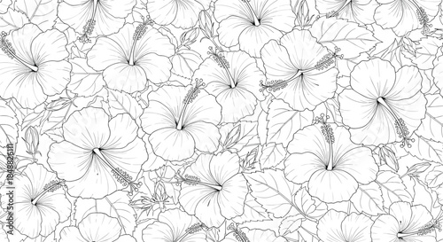 Seamless black and white pattern featuring detailed, hand-drawn hibiscus flowers and leaves, creating a dense and elegant tropical floral background.