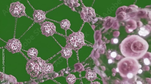 Organic growth revealed organic with organic cellular structures morphing, revealing effect ad_ready green screen organic growth