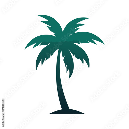 palm tree vector illustration