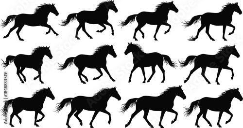 Dynamic vector illustration set of running horse silhouettes showcasing galloping, trotting, and walking poses for equestrian design projects, animal motion studies, and wildlife-themed artwork