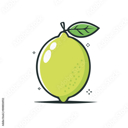 Fresh lime illustration for culinary applications or refreshing citrus drink design