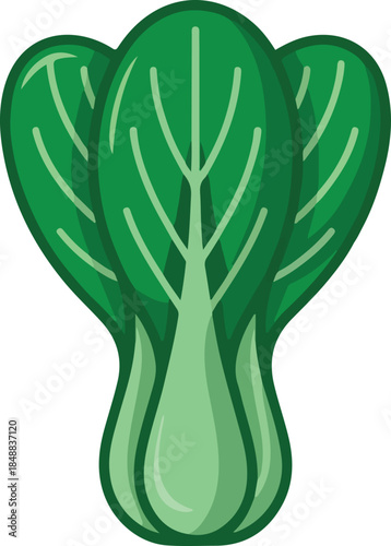 Bok Choy Vector Graphic Illustration - Fresh Green Vegetable Clip Art for Culinary and Health Designs