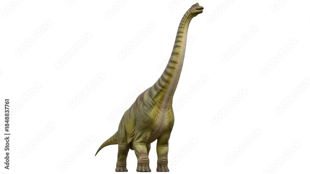 Fototapeta premium Isolated dinosaur sauropod is a prehistoric beast with long neck and small head viewed from the front