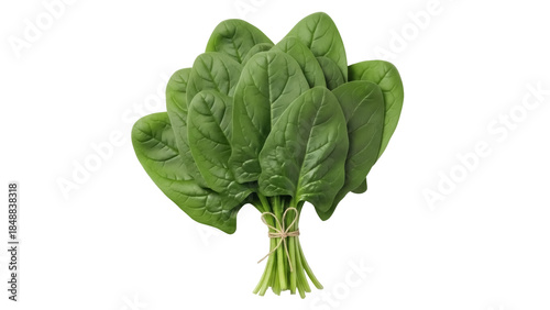 Photos Isolated bunch of fresh organic spinach with stems, a healthy ingredient for rec