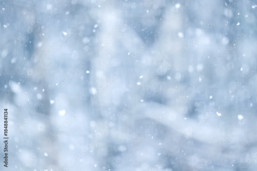 Fototapeta premium Winter blurred background, snowflakes, light weather, abstract backdrop in the park