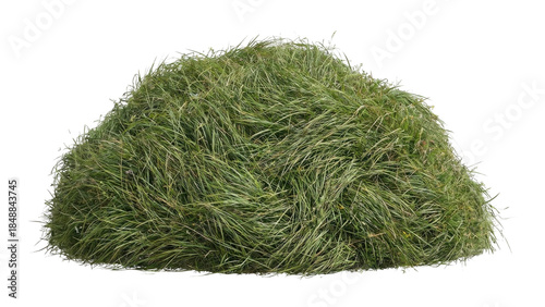 Heap of natural fresh green grass isolated on clean white background