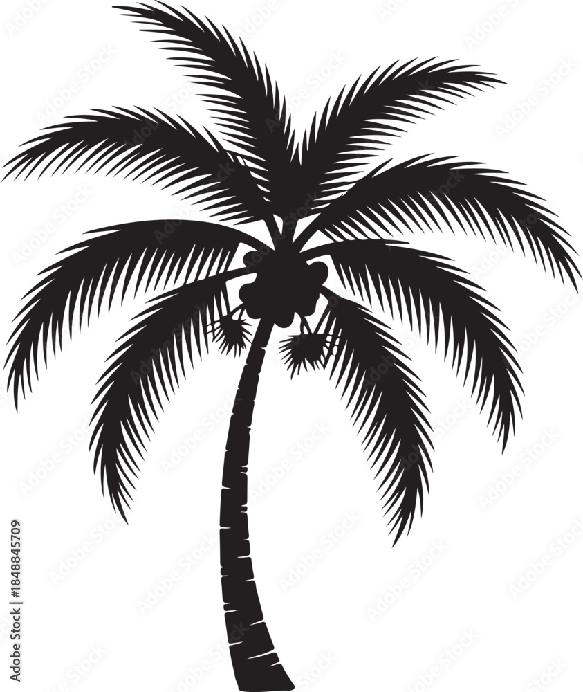 Obraz premium “Palm Tree Silhouette – Tropical Tree Black Vector on White