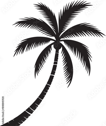  “Palm Tree Silhouette – Tropical Tree Black Vector on White