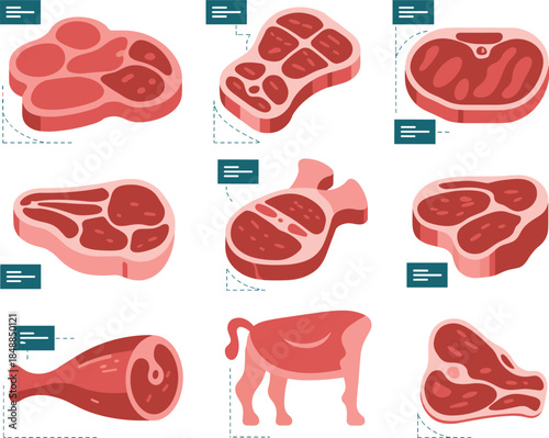 Meat Cuts Diagram Set - Beef, Pork, and Lamb Butcher Shop Infographics