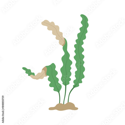 Vector hand-drawn illustration of seaweed. Sketch of the ocean element.