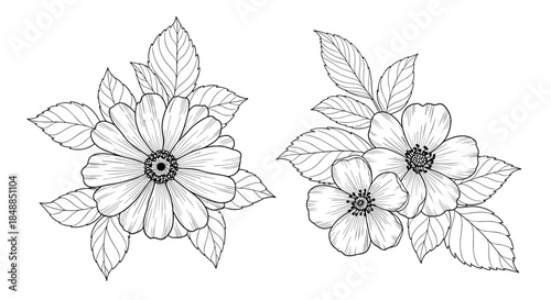 Collection of hand-drawn floral bouquets with detailed petals and leaves in a black and white vintage engraving sketch style.