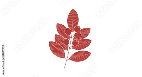 Stylized red branch with leaves and ripe berries in a simple, modern flat design with linear texture, isolated on a white background.