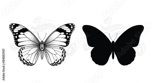 Detailed hand-drawn butterfly illustration with dotwork shading and its corresponding solid black silhouette on a white background.