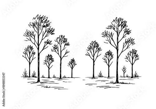  Forest hand drawn simple sketch vector illustration