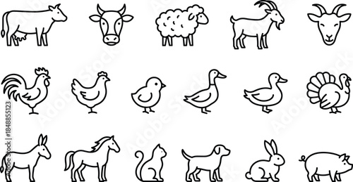Collection of farm animal line icons featuring cow, sheep, goat, rooster, chicken, duck, turkey, horse, donkey, cat, dog, rabbit, pig.