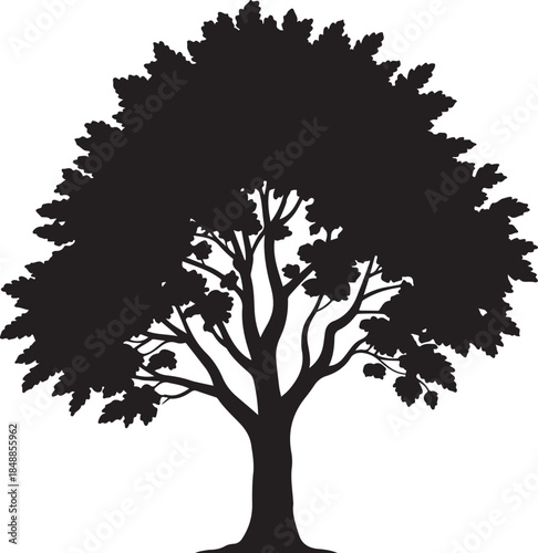 Foliage Tree Silhouette – Leafy Tree Vector Silhouette Black on White”