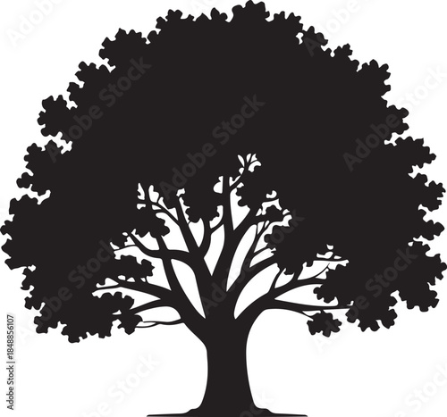 Foliage Tree Silhouette – Leafy Tree Vector Silhouette Black on White”