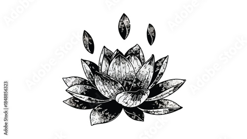 Serene lotus flower illustration with floating petals, symbolizing peace and enlightenment