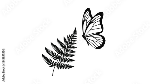Elegant butterfly flutters near delicate fern frond on a clean white background.