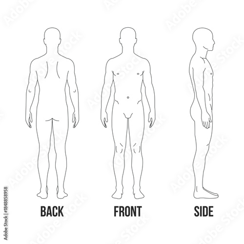 Human body anatomy outline front back and side view diagram