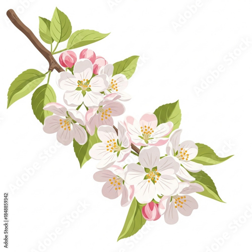 Spring Blossoms: A close-up showcases delicate white blossoms bursting forth on a slender branch, a testament to the rejuvenating essence of springtime.