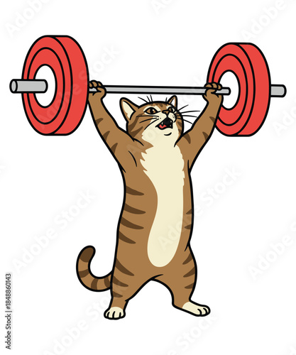 Funny Cat Gym Design, Cat Workout Graphic Design,  Funny Deadlift Cat Meme Design, Gym Pump Cover, workout t-shirt, unisex cat lover gift.