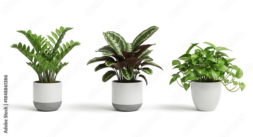 Fototapeta premium Collection of Vibrant Green Houseplants in Modern Pots for Interior Decoration