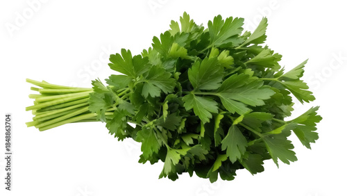 Foto Isolated fresh green parsley bunch, vibrant ingredient for healthy vegetarian co