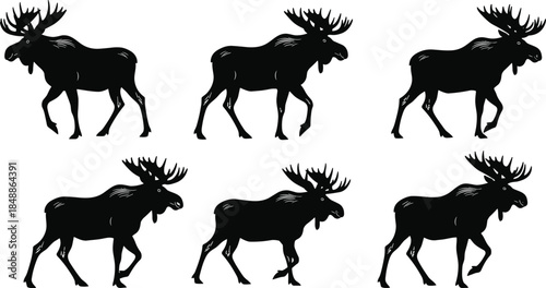 Black moose silhouettes collection, wildlife animal walking poses, forest mammal vector illustration, isolated on white background design for stock usage