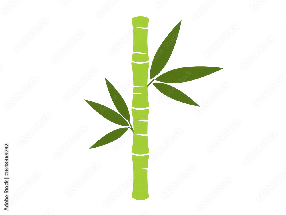 Fototapeta premium Isolated light green bamboo stalk with leaves in decorative design, vector illustration