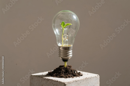 Renewable Energy Symbolized by Glowing Light Bulb with Fresh Leaves on Product Stand