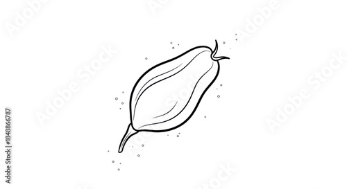 Minimalist line art illustration of a tropical fruit on a white background.
