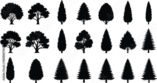 Black tree silhouettes collection isolated on white background, deciduous and evergreen forest icons set for landscape, nature, vector design