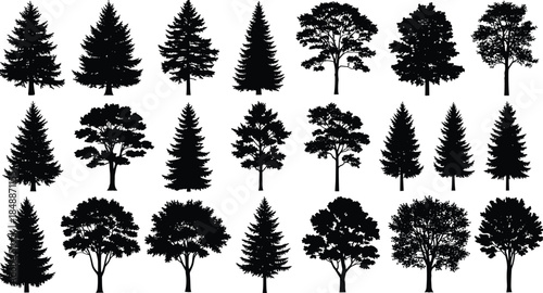 Realistic tree silhouette collection isolated on white background, pine and deciduous forest trees for nature landscape design vector set