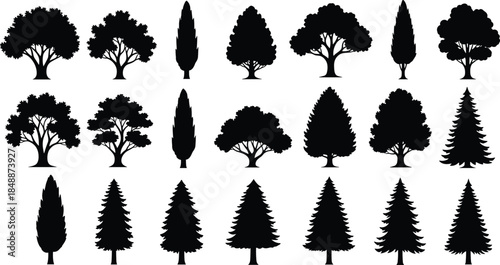 Tree silhouette icon set with deciduous and evergreen shapes, forest nature elements, black vector illustration collection for design use