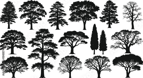 Tree silhouettes collection, diverse forest shapes, isolated black botanical icons, nature design elements, deciduous and conifer outlines for vector illustration