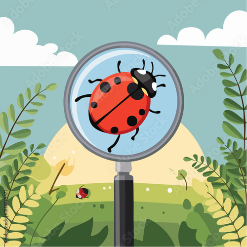 Une coccinelle étudiée à la loupe, gros plan, en extérieur dans la nature 
