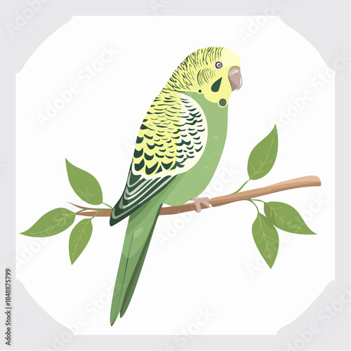 Jolie perruche à ailes vertes, oiseau, collier jaune, sur sa branche, isolé sur un fond blanc