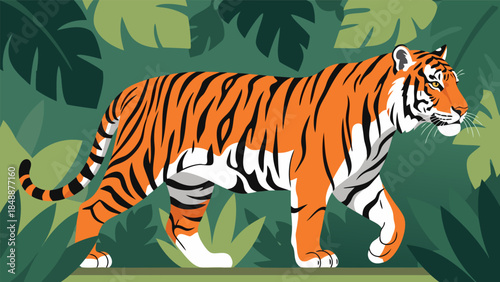 Vibrant Tiger Safely Roaming Through Lush Green Jungle Foliage, Illustrating Wild Nature and Biodiversity