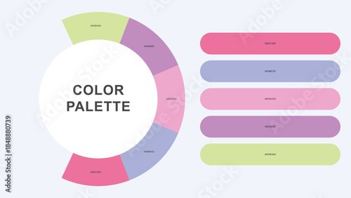 Pastel Color Palette Infographic – Modern Circular Chart with Hex Codes Vector
