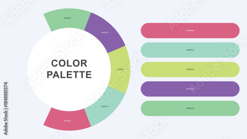 Pastel Color Palette Infographic – Modern Circular Chart with Hex Codes Vector