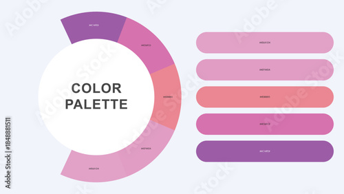 Pastel Color Palette Infographic – Modern Circular Chart with Hex Codes Vector
