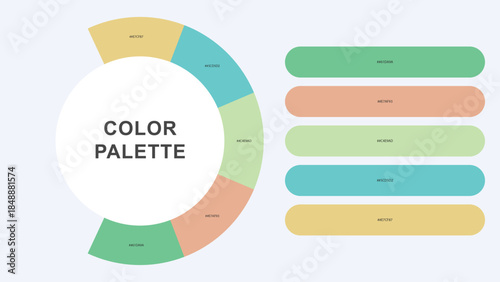 Pastel Color Palette Infographic – Modern Circular Chart with Hex Codes Vector