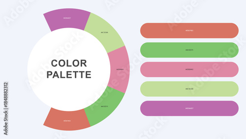 Pastel Color Palette Infographic – Modern Circular Chart with Hex Codes Vector