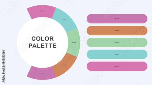 Pastel Color Palette Infographic – Modern Circular Chart with Hex Codes Vector