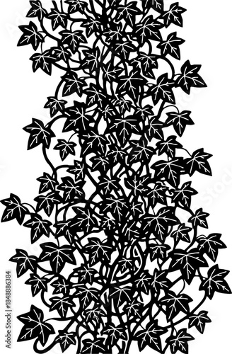 Detailed Black and White Ivy Vine Botanical Engraving Graphic