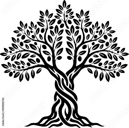 Stylized Olive Tree Illustration Black and White Vector Graphic Design