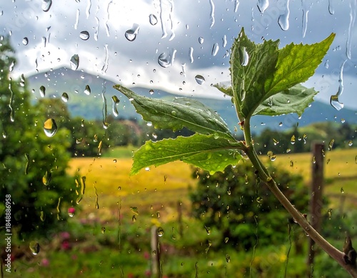 Raindrops on glass, framing a lush landscape of rolling hills and green foliage under a cloudy sky